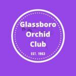 Glassboro Orchid Club to Recognize Scholarship, Community Leaders on May 9